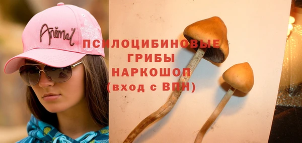 гидропоника Алзамай