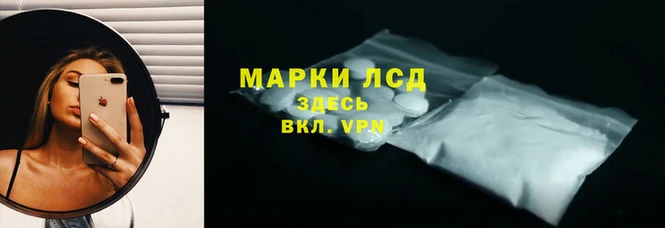 ПСИЛОЦИБИНОВЫЕ ГРИБЫ Алексин
