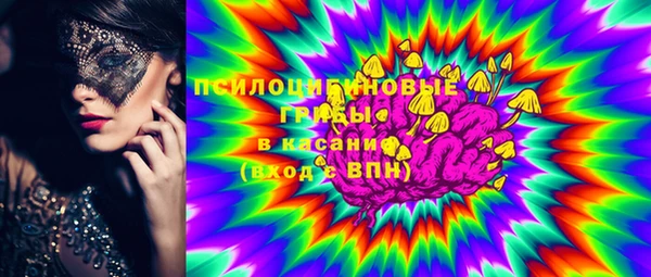 гидропоника Алзамай