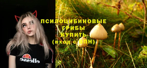 ПСИЛОЦИБИНОВЫЕ ГРИБЫ Алексин