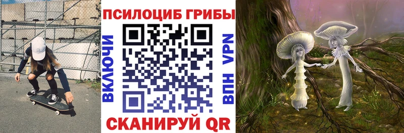 Псилоцибиновые грибы Cubensis  где продают   блэк спрут tor  Енисейск 